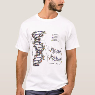 DNA Structure Deoxyribonucleic Acid Bases Diagram T-Shirt