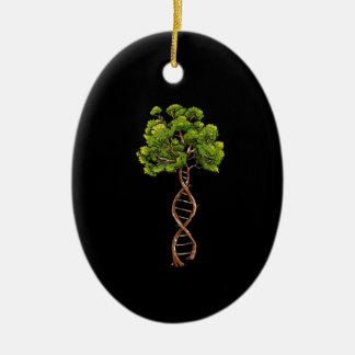 Dna Tree Of Life Science Genetics Biology Environm Ceramic Ornament