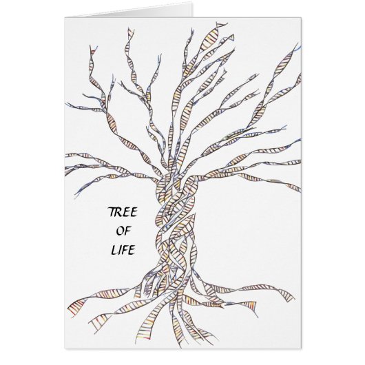 DNA TREE or Tree of Life Cards (Front)