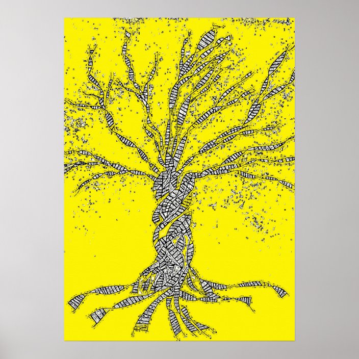 zazzle