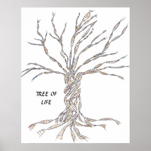 DNA TREE or Tree of Life POSTER BLUE