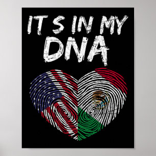 Dna Usa Flag American Mexican Flag Mexico Poster