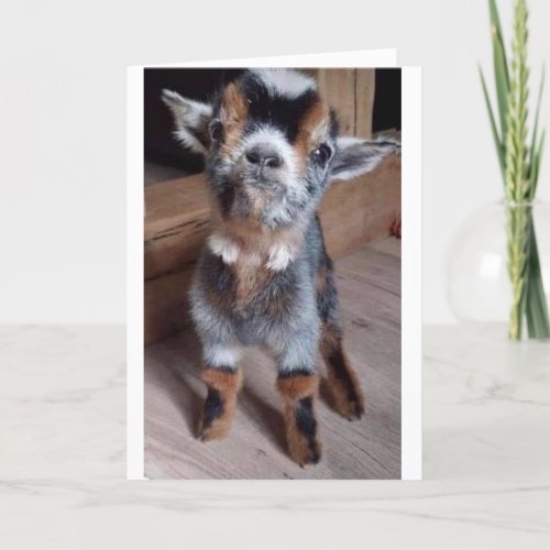 DO A BABY GOAT A FAVOR HAPPY 45th BIRTHDAY CARD