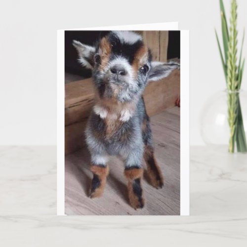 DO A BABY GOAT A FAVOR HAPPY 55th BIRTHDAY CARD