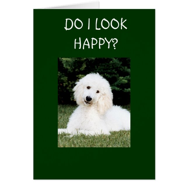 DO I LOOK HAPPY? CARDS (Front)