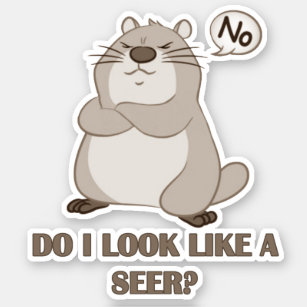 Do I Look Like A Seer? Groundhog Day Vinyl Sticker