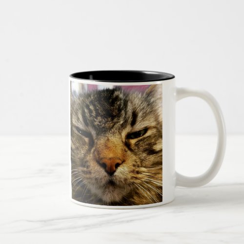 Do I Look Like I Care Cat Meme Coffee Mug