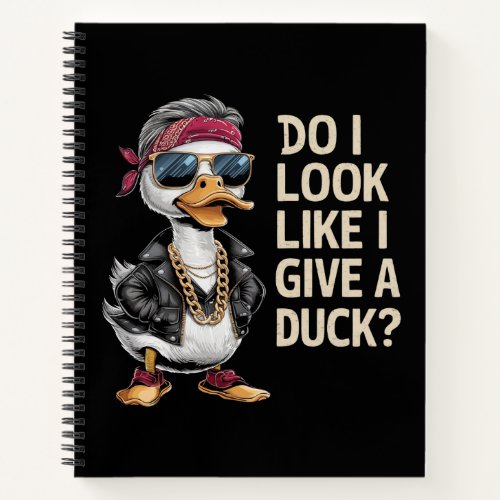 Do i look like i give a duck1 notebook