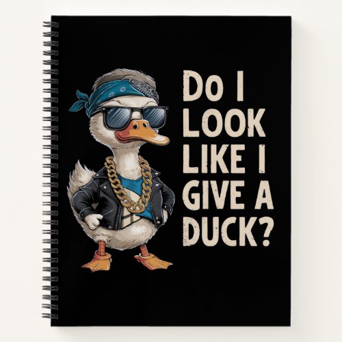 Do i look like i give a duck_2 notebook