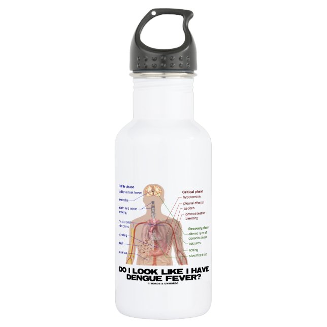 Do I Look Like I Have Dengue Fever (Anatomy) Water Bottle (Front)