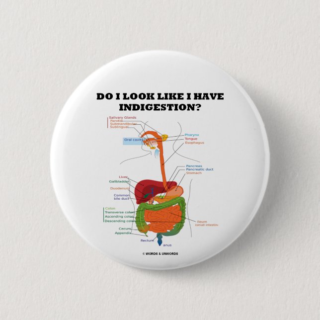 Do I Look Like I Have Indigestion? (Medical) Button (Front)