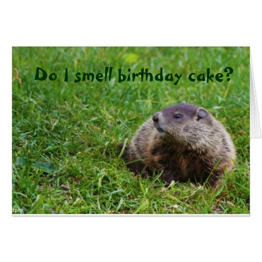 Do I smell birthday cake? Card | Zazzle