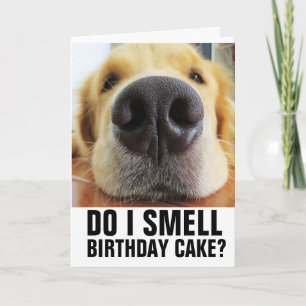 DO I SMELL BIRTHDAY CAKE? FUNNY CLOSEUP DOG CARDS