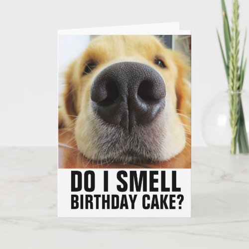 DO I SMELL BIRTHDAY CAKE FUNNY CLOSEUP DOG CARDS