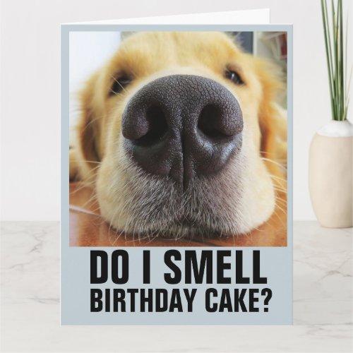 DO I SMELL BIRTHDAY CAKE FUNNY CLOSEUP DOG CARDS