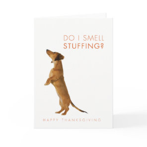 Do I smell stuffing? Dachshund puppy Thanksgiving Holiday Card