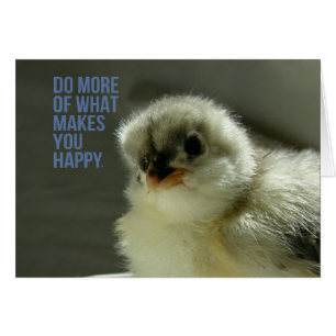 Do More of What Makes You Happy Chick Sits Teacup Cards