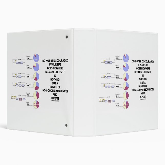 Do Not Be Discouraged Life Non-Coding Sequences 3 Ring Binder (Background)