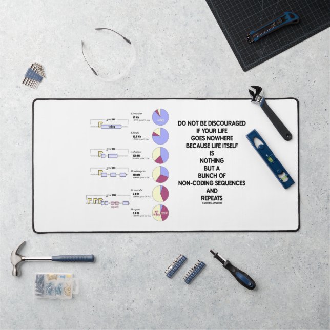 Do Not Be Discouraged Life Non-Coding Sequences Desk Mat (Workstation)