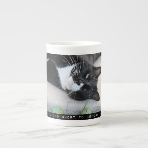 Do Not Be Jaded Encouraging Cat Motto Bone China Mug