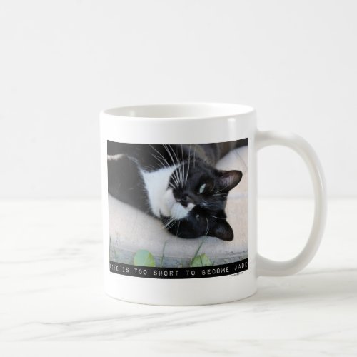 Do Not Be Jaded Funny Cat Coffee Mug