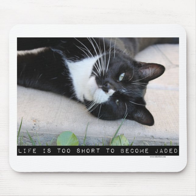 Do Not Be Jaded Funny Cat Motivation Quote Mouse Pad (Front)