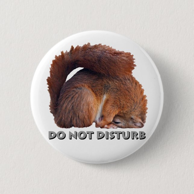 Do Not Disturb Badge Pinback Button (Front)