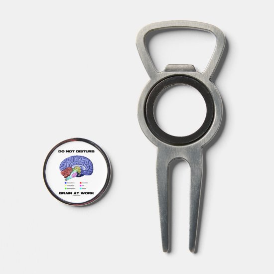 Do Not Disturb Brain At Work Anatomical Advice Divot Tool