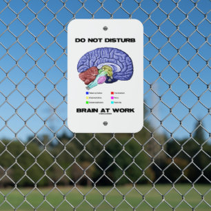 Do Not Disturb Brain At Work Anatomical Advice Metal Sign