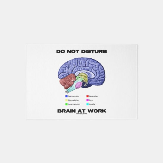 Do Not Disturb Brain At Work Anatomical Advice Rug
