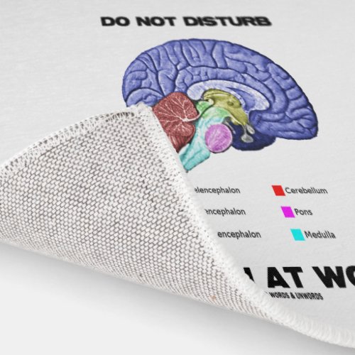 Do Not Disturb Brain At Work Anatomical Advice Rug