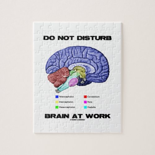 Do Not Disturb Brain At Work Anatomical Humor Jigsaw Puzzle