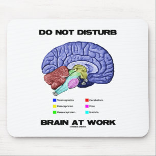 Do Not Disturb Brain At Work (Anatomical Humor) Mouse Pad
