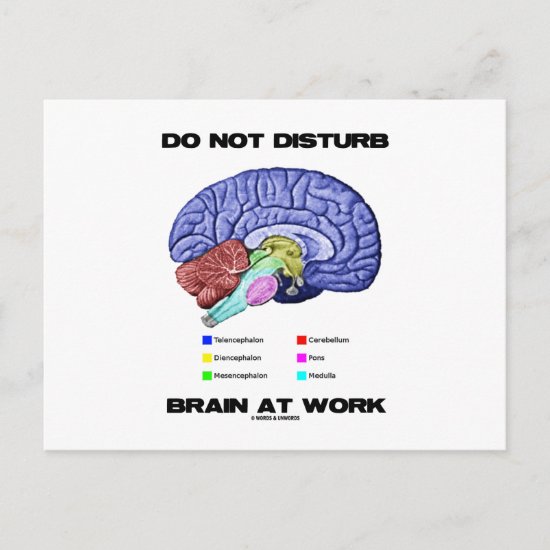 Do Not Disturb Brain At Work (Anatomical Humor) Postcard