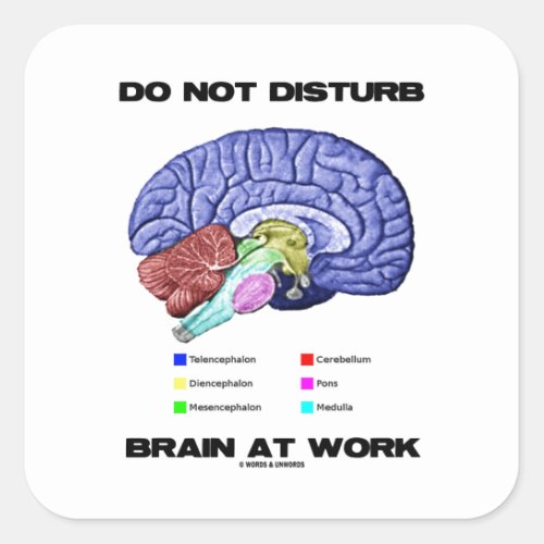 Do Not Disturb Brain At Work Anatomical Humor Square Sticker