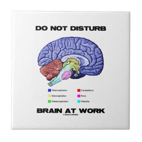 Do Not Disturb Brain At Work Anatomical Humor Tile