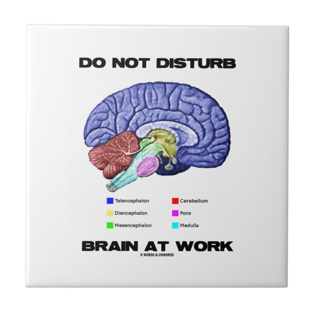 Do Not Disturb Brain At Work (Anatomical Humor) Tile (Front)