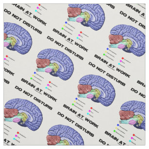 Do Not Disturb Brain At Work Brain Anatomy Advice Fabric