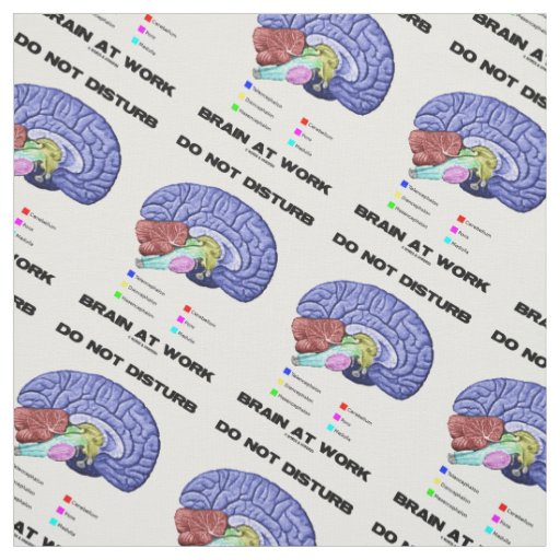 Do Not Disturb Brain At Work Brain Anatomy Advice Fabric