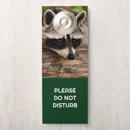 Do Not Disturb Cute Raccoon Resting on a Log Door Hanger