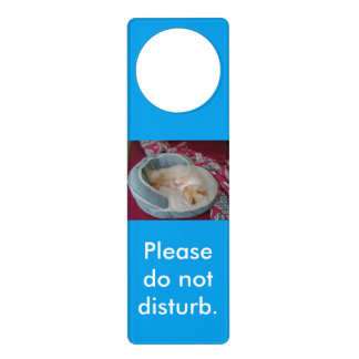 Do Not Disturb Door Hanger