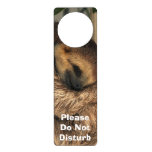 Do Not Disturb Door Hanger With Sleeping Sloth at Zazzle