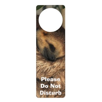 Do Not Disturb Door Hanger With Sleeping Sloth by Sloths_and_more at Zazzle