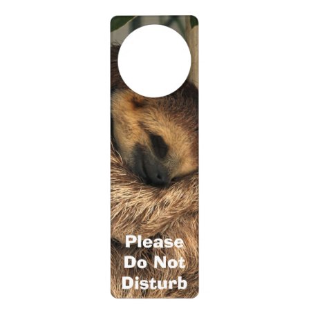 Do Not Disturb Door Hanger With Sleeping Sloth