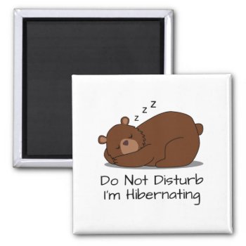 Do Not Disturb Funny Sleeping Bear Magnet by Epicquoteshop at Zazzle