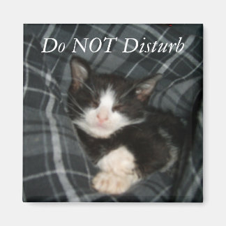 Do NOT Disturb Magnet