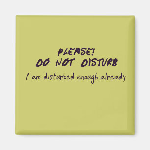 Do Not Disturb Magnet