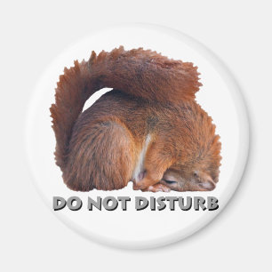 Do Not Disturb Magnet