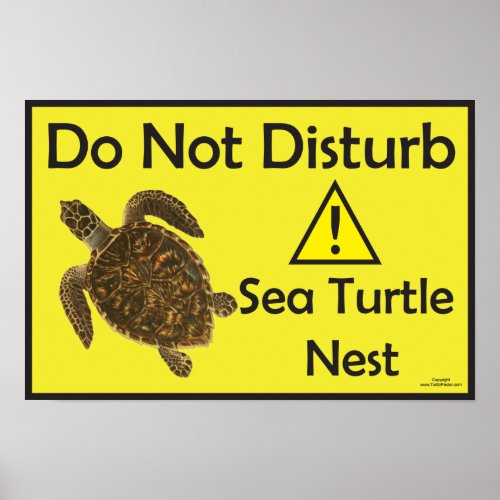 Do Not Disturb Sea Turtle Nest Poster