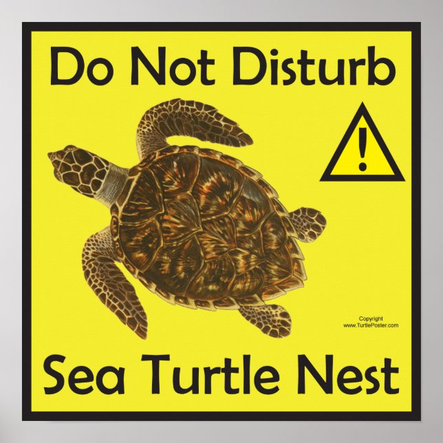 Do Not Disturb Sea Turtle Nest Poster (Front)
